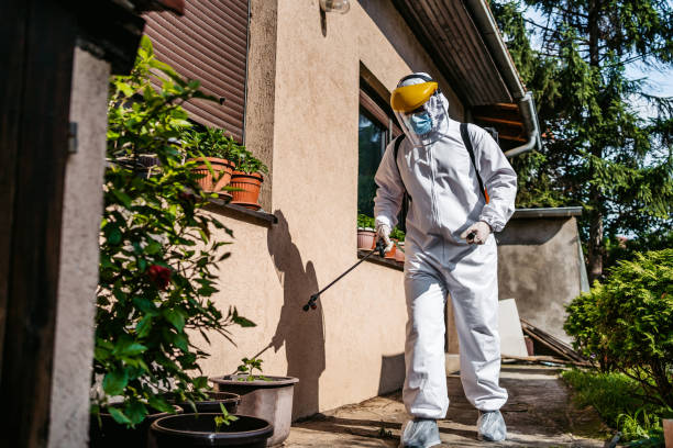 Best Best Pest Control Companies  in Punxsutawney, PA