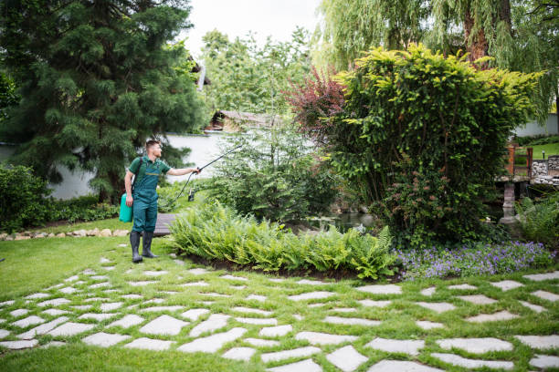 Pest Prevention Services in Punxsutawney, PA